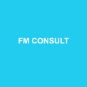 Logo FM CONSULT
