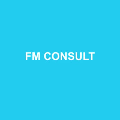 Logo de FM CONSULT