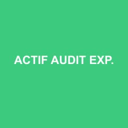 Logo Actif Audit Expertise Comptable - Expert-comptable à Le Kremlin-Bicêtre