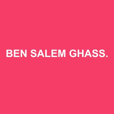 Logo de BEN SALEM GHASSEN