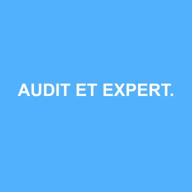 Logo de AUDIT ET EXPERTISE COMPTABLE VIRGINIE BIETTE