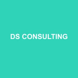 Logo ds Consulting - Expert-comptable à Noisiel