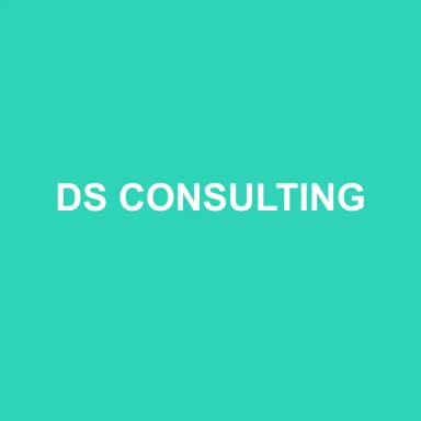 Logo de DS CONSULTING