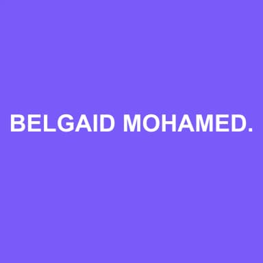 Logo de BELGAID MOHAMED AMINE