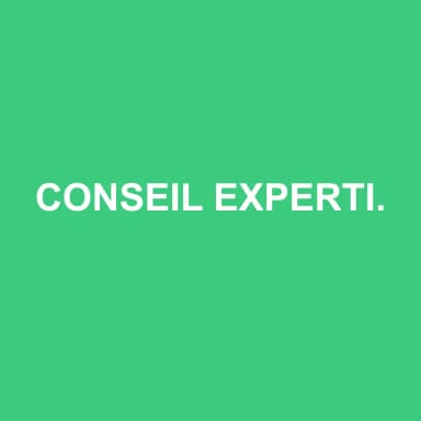 Logo de CONSEIL EXPERTISE ET AUDIT ANTILLES GUYANE