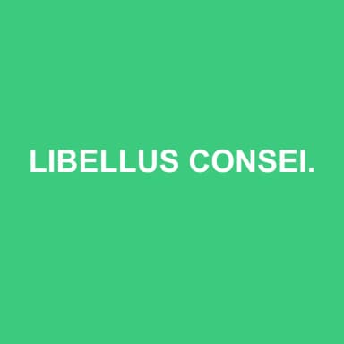 Logo de LIBELLUS CONSEIL & EXPERTISE