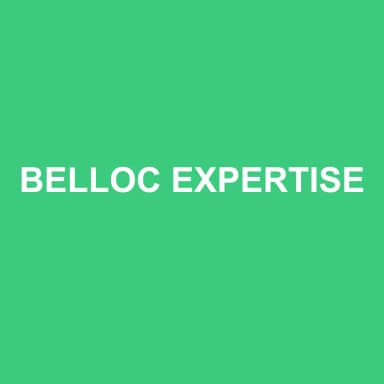 Logo de BELLOC EXPERTISE