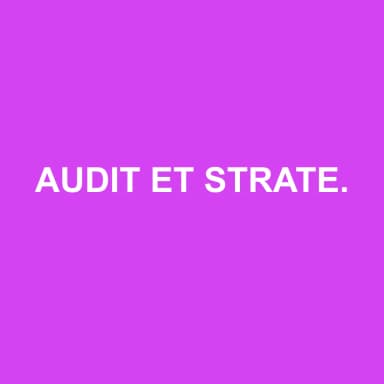 Logo de AUDIT ET STRATEGIE D'EXPERT