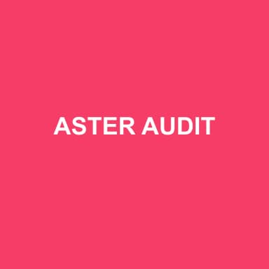 Logo de ASTER AUDIT