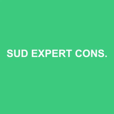 Logo de SUD EXPERT CONSEIL 12