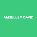 Logo de Amsellem David