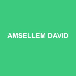 Logo de AMSELLEM DAVID