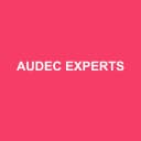Logo de Audec Experts