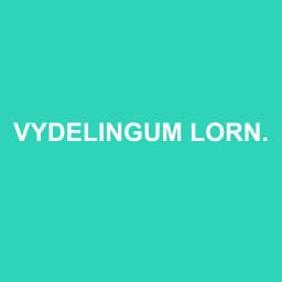 Logo Vydelingum Lornah - Expert-comptable à Sciez