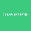 Logo de Cesari Expertise & Audit