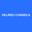 Logo DELRIEU CONSEILS