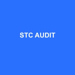 Logo STC AUDIT