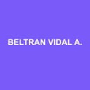 Logo BELTRAN VIDAL AUDIT