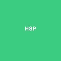 Logo Hsp - Expert-comptable à Grez-Neuville
