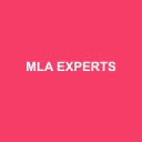 Logo MLA EXPERTS