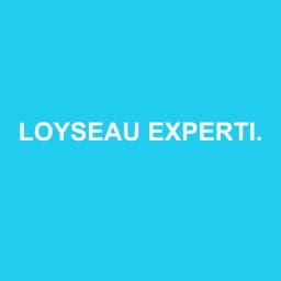 Logo Loyseau Expertise et Developpement - Expert-comptable à Mouvaux