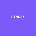 Logo de Syndex