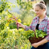 Association de Gestion et Comptabilite de L'artisanat - photo 1