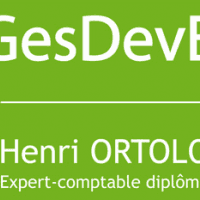 E-gesdevec - photo 2