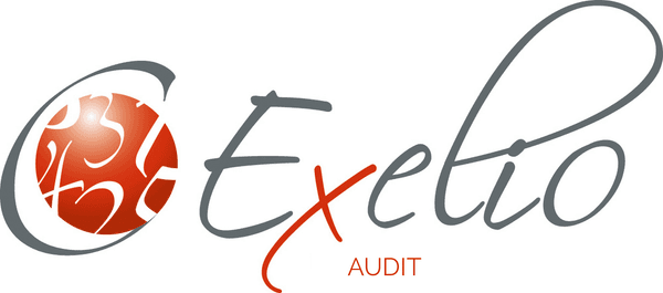 Exelio Audit - photo 2