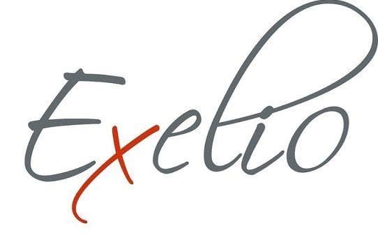 Exelio Audit - photo 3