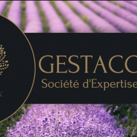 Gestacompta - photo 2