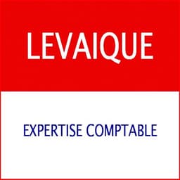 Logo Levaique Expertise Comptable - Expert-comptable à Galluis