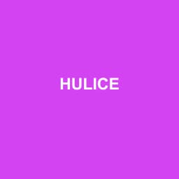 Logo de HULICE
