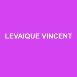 Logo Levaique Vincent - Expert-comptable à Galluis