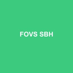 Logo Fovs Sbh - Expert-comptable à Saint-Barthélemy