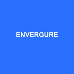 Logo Envergure - Expert-comptable à Ducos