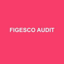 Logo Figesco Audit - Expert-comptable à Le Grand-Quevilly