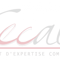 Societe D'expertise Comptable Aquitaine Limousin - photo 3