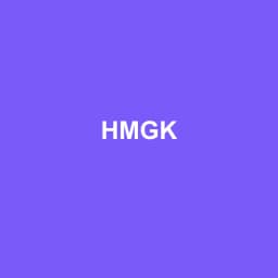 Logo Hmgk - Expert-comptable à Noyelles-Godault