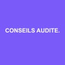 Logo CONSEILS AUDITEURS & ASSOCIES