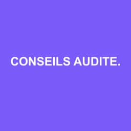 Logo Conseils Auditeurs & Associes - Expert-comptable à Irigny