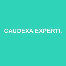 Logo Caudexa Expertise - Expert-comptable à Communay