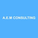 Logo A.E.M CONSULTING