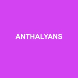 Logo Anthalyans - Expert-comptable à Sérézin-du-Rhône