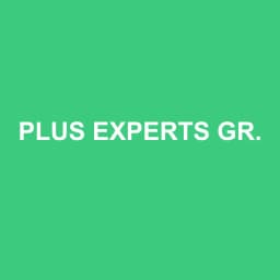 Logo Plus Experts Grenoble - Expert-comptable à Seyssinet-Pariset