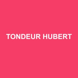 Logo de TONDEUR HUBERT