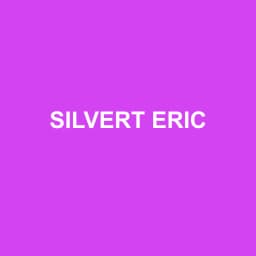 Logo Silvert Eric - Expert-comptable à Hérouville-Saint-Clair