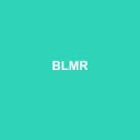 Logo BLMR