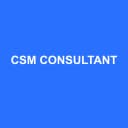 Logo CSM CONSULTANT