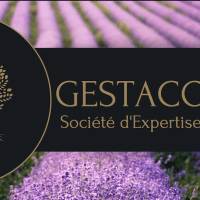 Gestacompta - photo 1